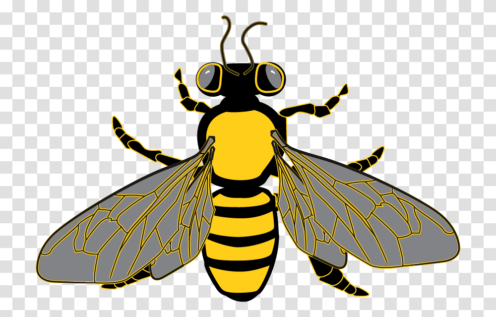 Honeycomb Clipart Outline Bees On Clear Background, Wasp, Insect, Invertebrate, Animal Transparent Png