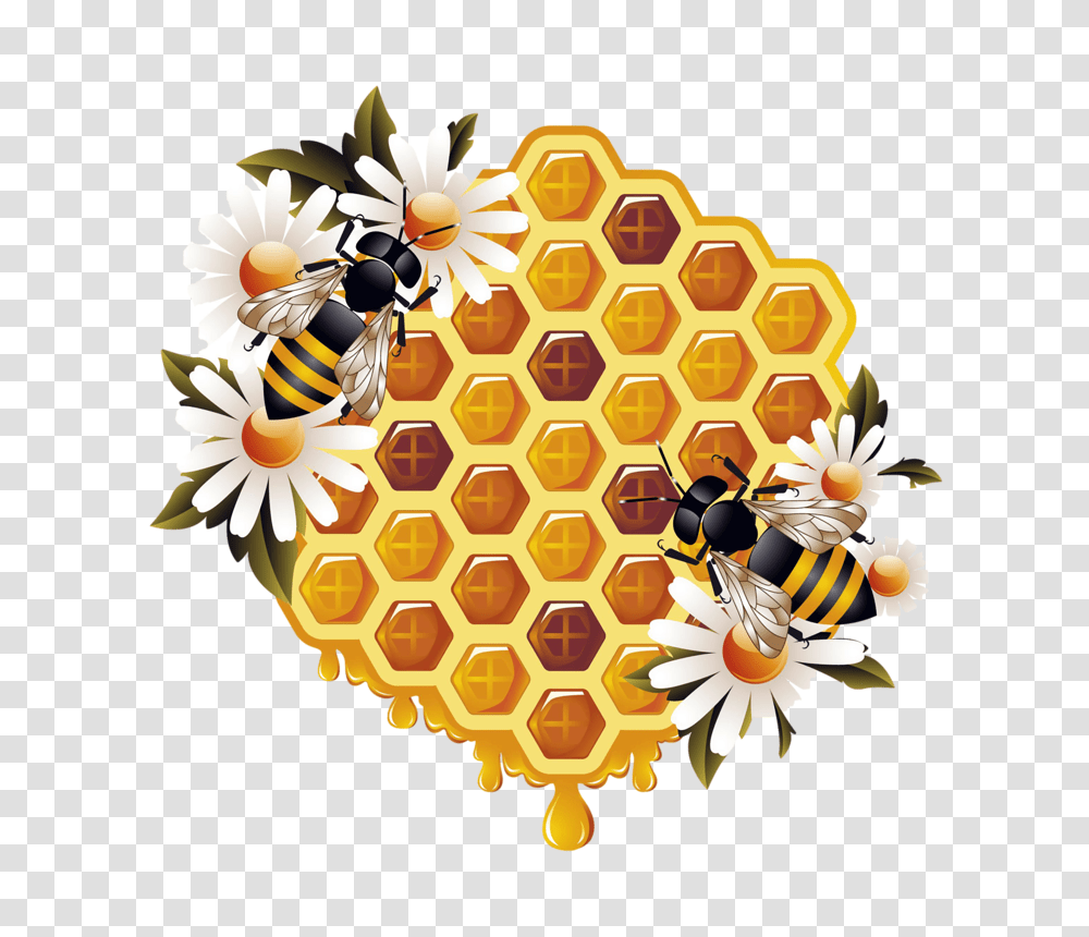 Honeycomb, Food, Meal, Birthday Cake Transparent Png