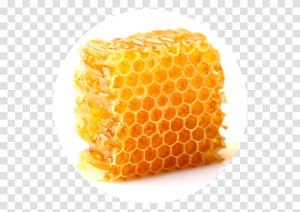 Honeycomb, Food, Orange, Citrus Fruit, Plant Transparent Png