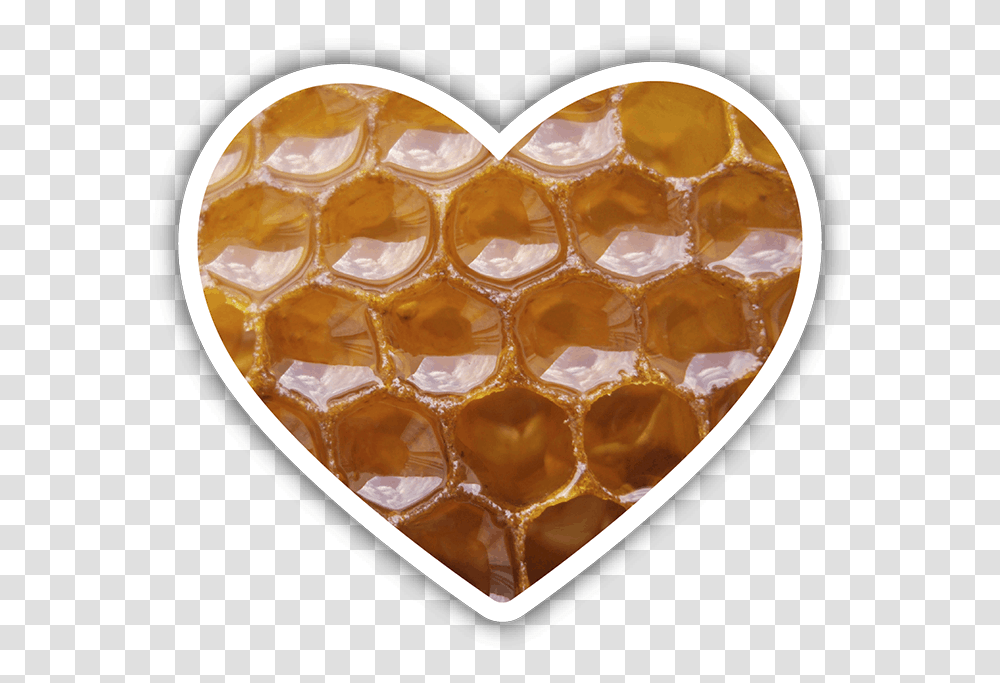 Honeycomb, Food, Wasp, Bee, Insect Transparent Png