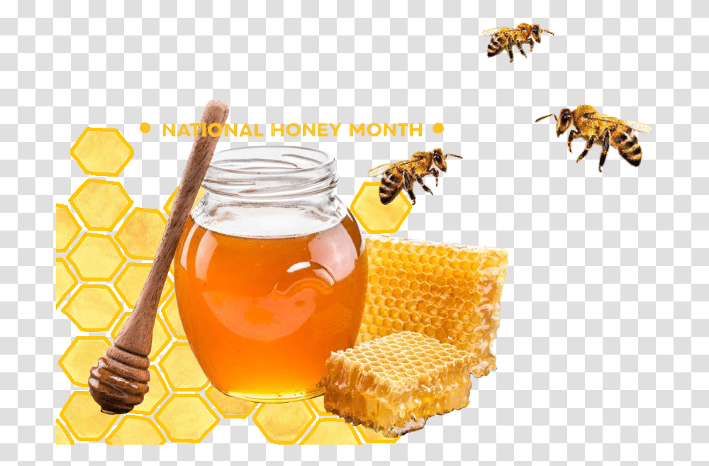 Honeycomb Nationalhoneymonth Honey Bee Honey Beeswax, Food, Insect, Invertebrate, Animal Transparent Png