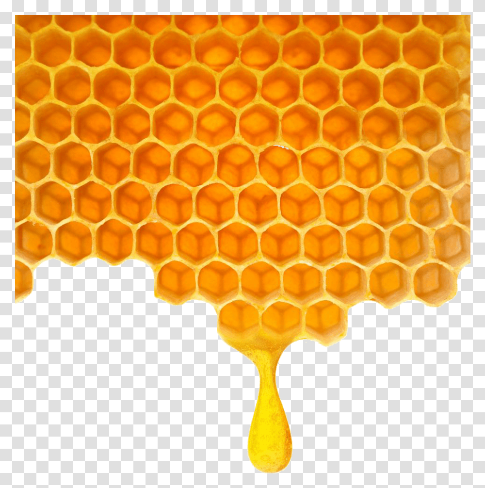 Honeycomb No Background, Food, Fungus Transparent Png