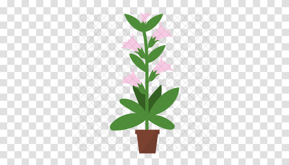 Honeysuckle Potted Plant Icon Of Flat Flowerpot, Blossom, Acanthaceae, Leaf, Hemp Transparent Png