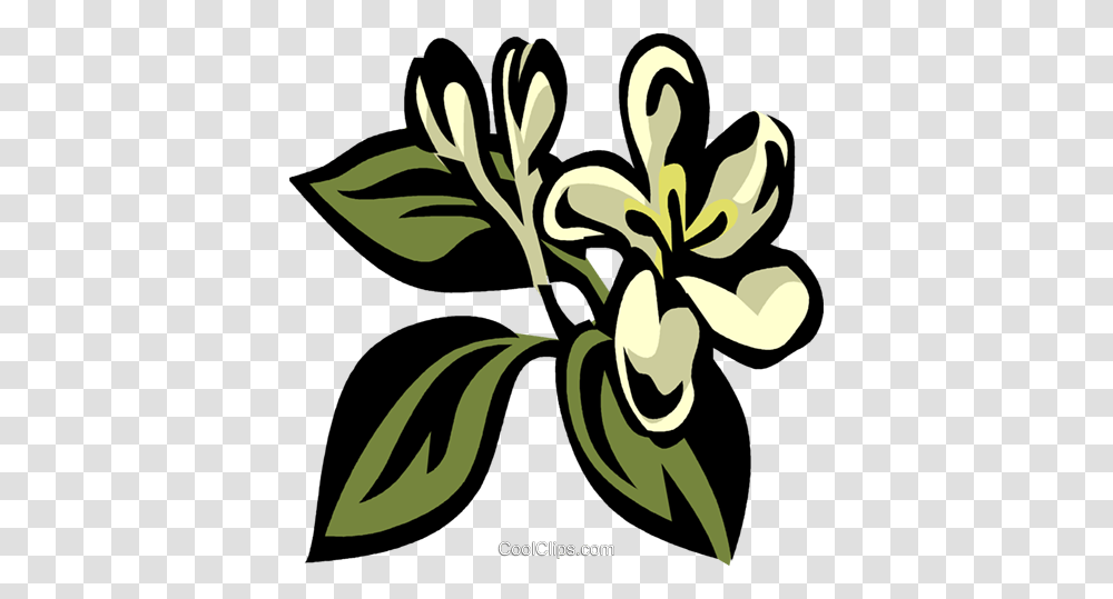 Honeysuckle Royalty Free Vector Clip Art Illustration, Plant, Floral Design, Pattern Transparent Png