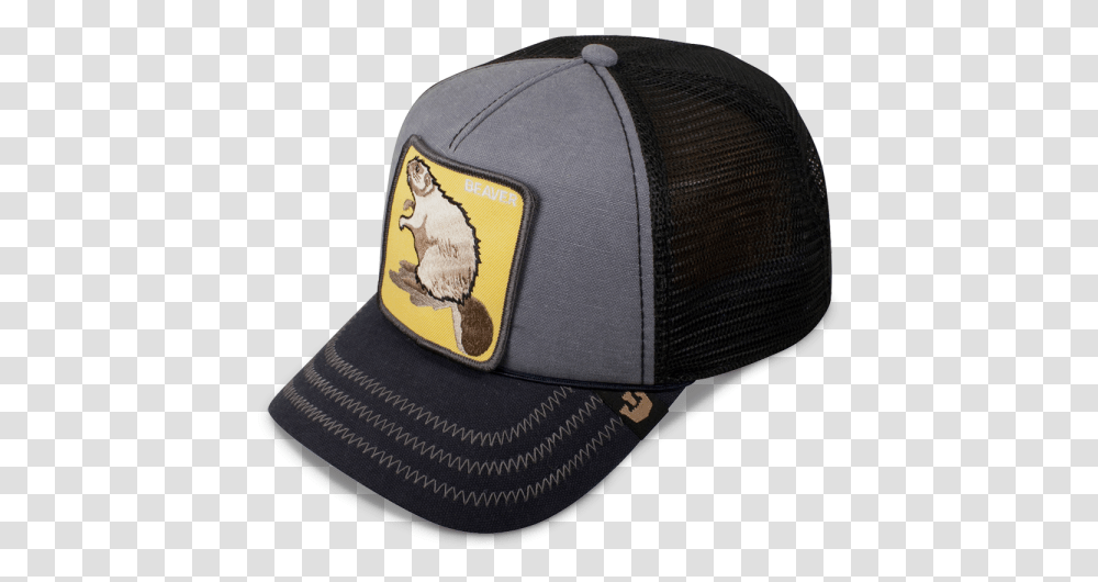 Honeywell Hat Shop Hats Goorin For Baseball, Clothing, Apparel, Baseball Cap, Bird Transparent Png