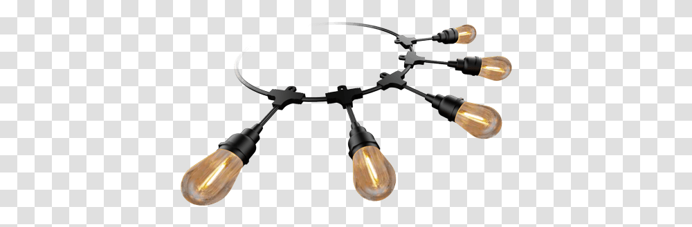 Honeywell Led Lighting - Light Bulbs And Wired Ceiling Fixture, Lightbulb Transparent Png