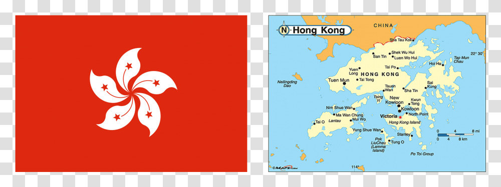 Hong Kong Flag Journal Download Hong Kong, Plot, Bird, Animal Transparent Png