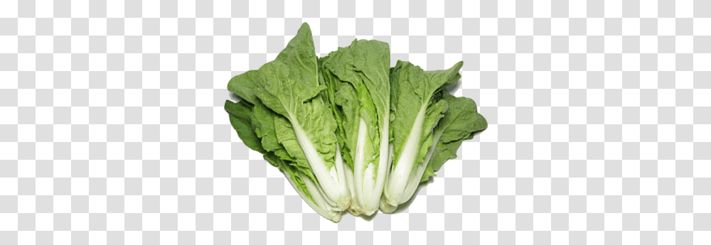 Hong Kong Organic Chinese Cabbage Romaine Lettuce, Plant, Vegetable, Food, Produce Transparent Png