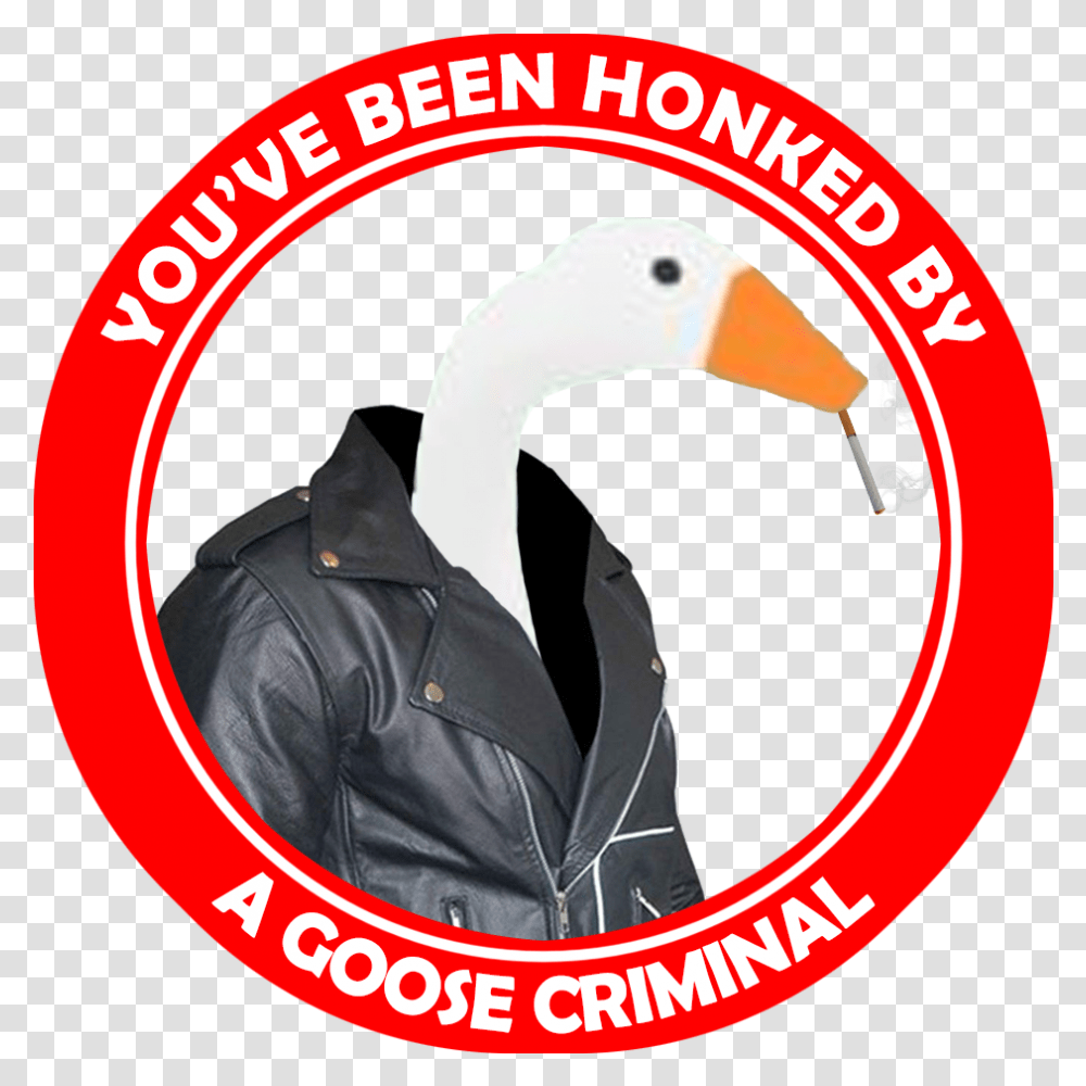 Honk Goose CriminalsTitle Honk Goose Criminals Goose, Label, Bird, Animal Transparent Png