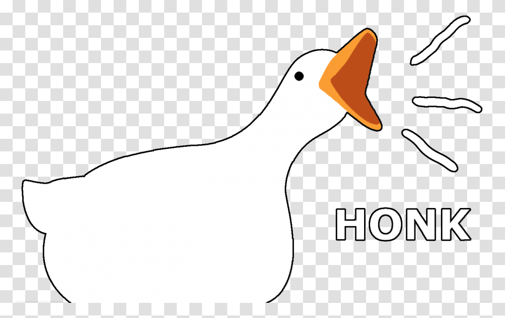 Honk Honk Goose, Duck, Bird, Animal, Beak Transparent Png
