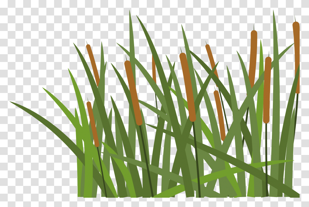 Hoochie S Denton Pieces Of Grass, Plant, Flower, Blossom, Lawn Transparent Png