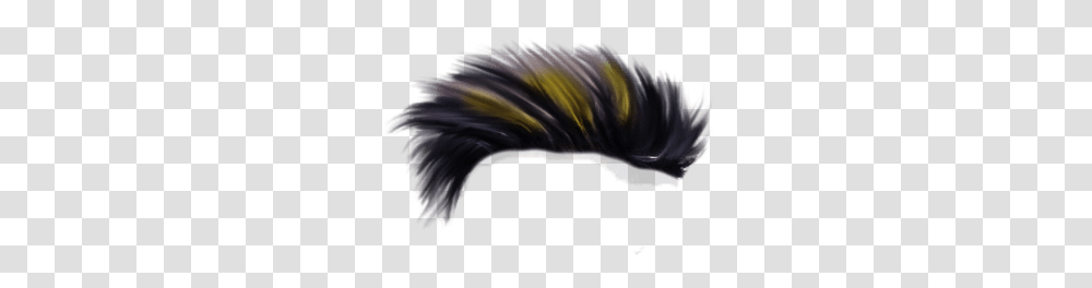 Hooded Skunk, Pattern, Fractal, Ornament, Sea Life Transparent Png