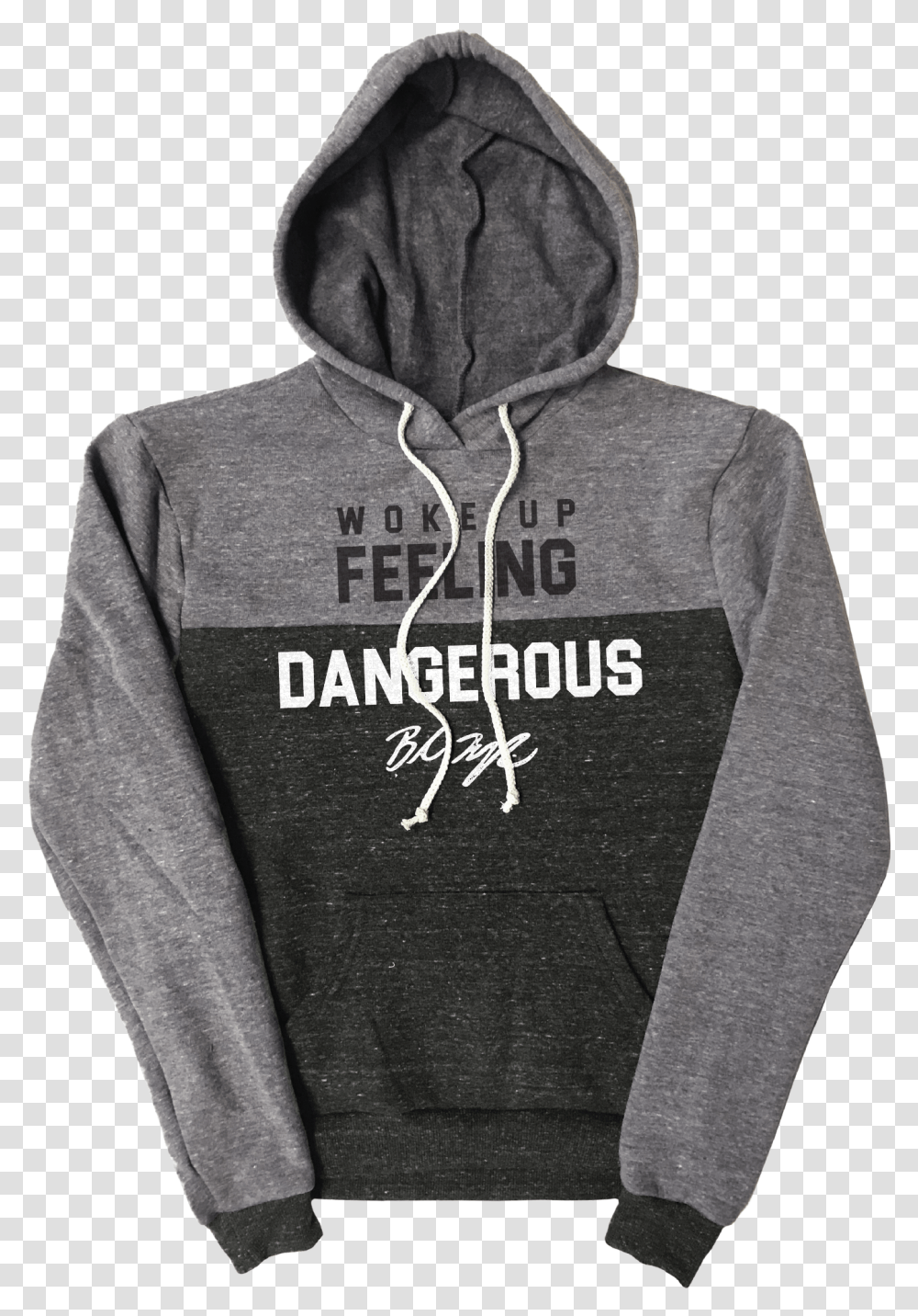 Hoodie, Apparel, Sweatshirt, Sweater Transparent Png