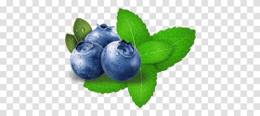 Hookafina Blueberry Mint Blueberry Gif Background, Plant, Fruit, Food, Leaf Transparent Png