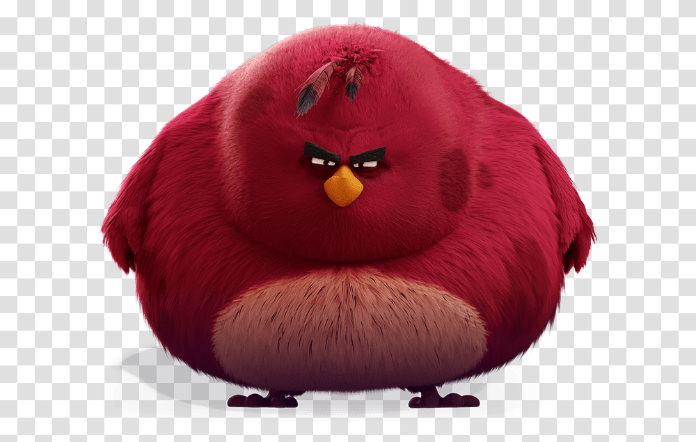 Hooligan Libertarian Blog Who's Angry Angry Birds Movie Terence, Animal,  Transparent Png