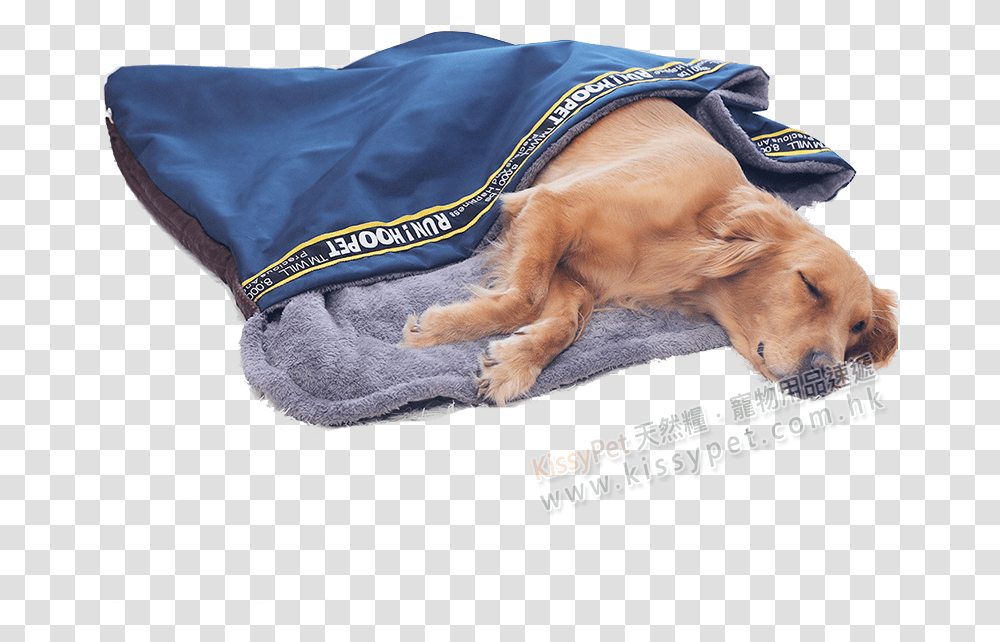 Hoopet Dual Use Sleeping Tent For Pets Dog, Canine, Animal, Mammal, Hound Transparent Png