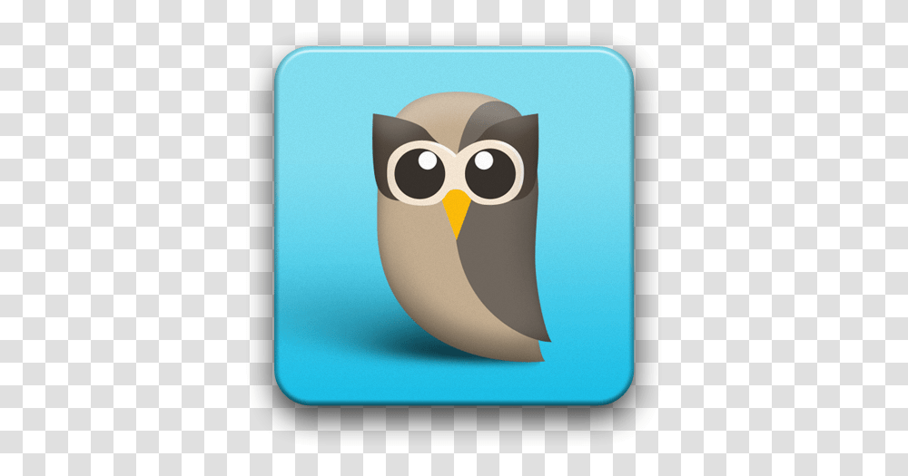 Hootsuite For Twitter Hootsuite Icon, Bird, Animal, Penguin, Cat Transparent Png