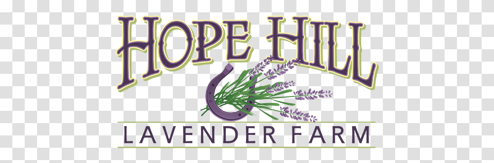 Hope Hill Lavender Farm Graphic Design, Text, Purple, Alphabet, Plant Transparent Png