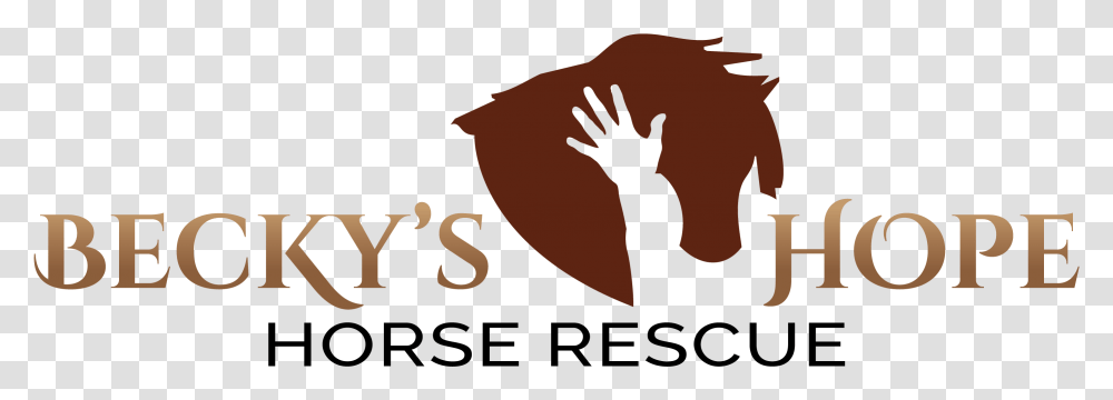 Hope Horse Rescue, Worship, Prayer, Back, Silhouette Transparent Png