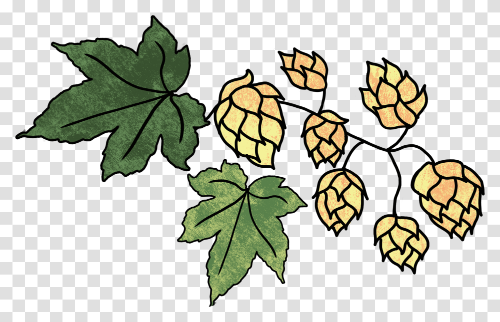 Hops And 2 Leaves, Leaf, Plant, Food, Maple Leaf Transparent Png