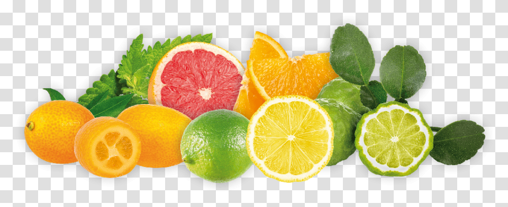 Hops Flavor Citrus Fruit Orange Et Citron, Plant, Food, Grapefruit, Produce Transparent Png