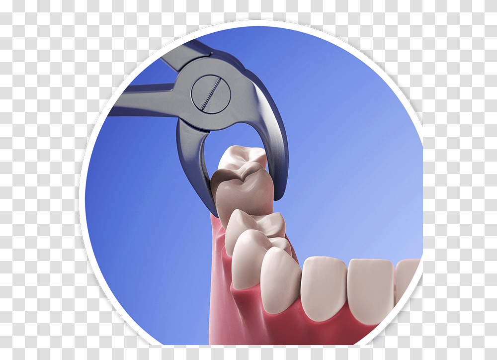 Horizon Microscope Enhanced Dentistry Tooth Extraction Data, Jaw, Teeth, Mouth, Lip Transparent Png