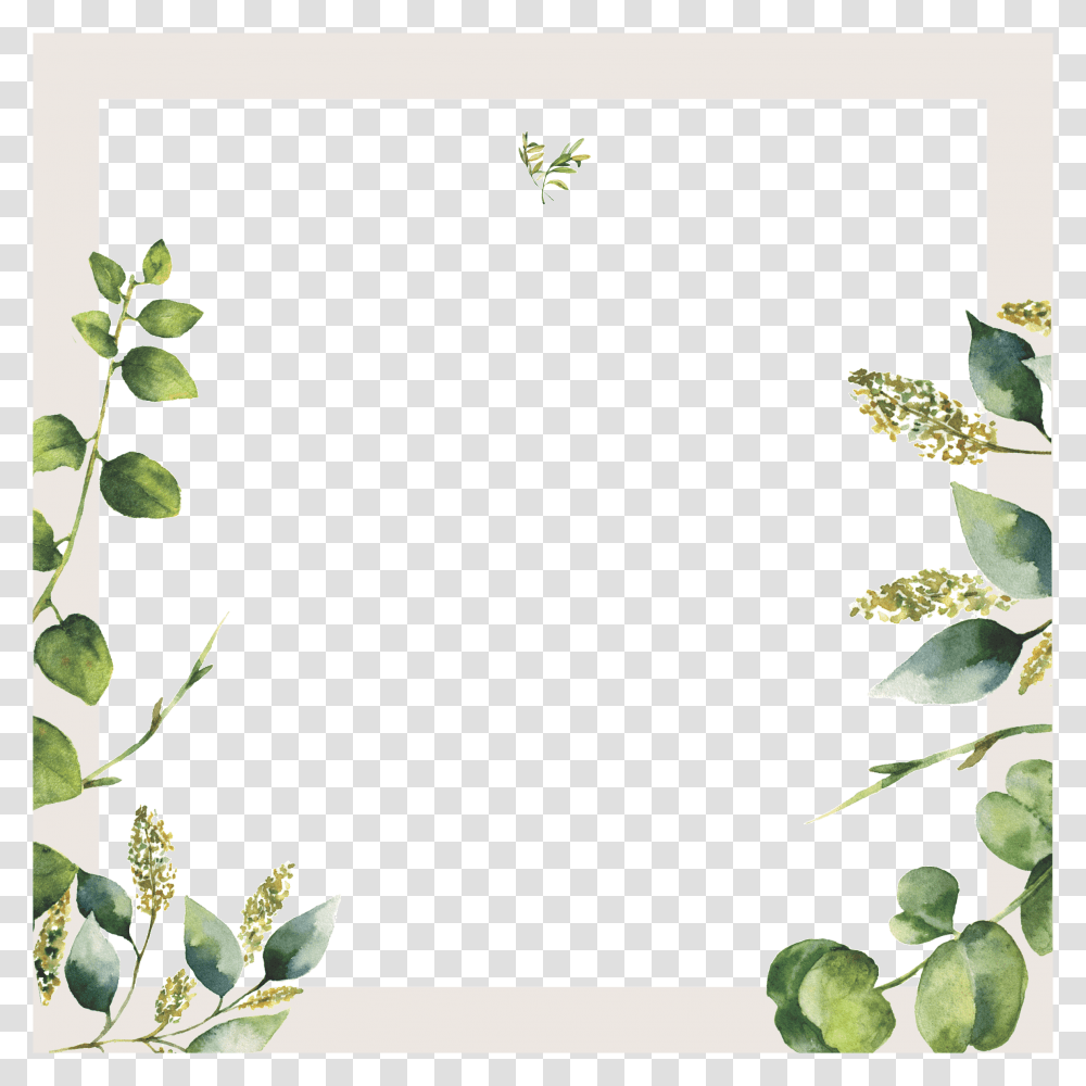 Horizontal Frame, Plant, Leaf, Flower, Blossom Transparent Png