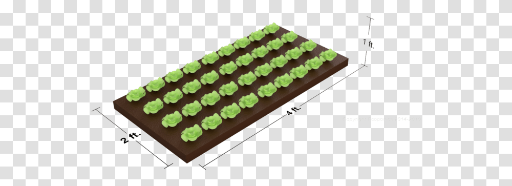 Horizontal Grow Plane With Dimensions Copyright Grass, Food, Icing, Cream, Cake Transparent Png