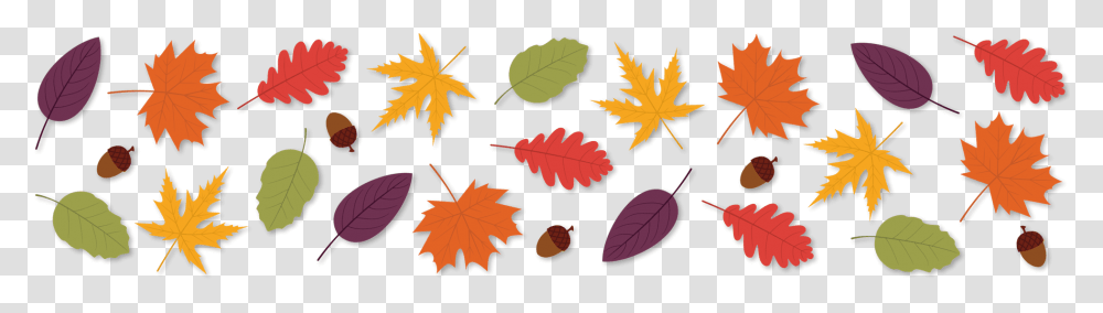 Horizontal Image Of Leaves, Leaf, Plant, Tree, Maple Leaf Transparent Png