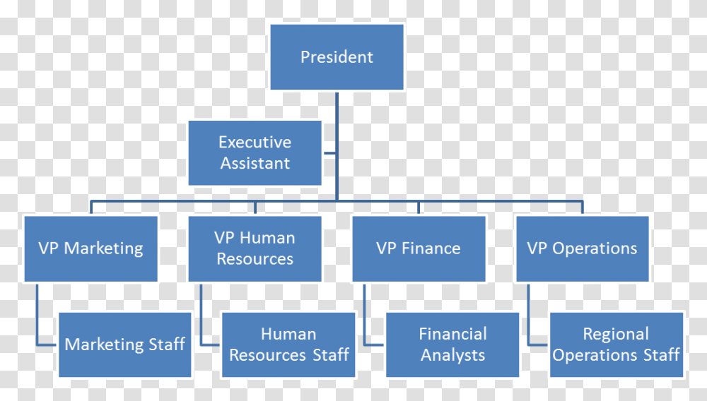 Horizontal Organization Vertical And Horizontal Organization, Label, Plot, Diagram Transparent Png