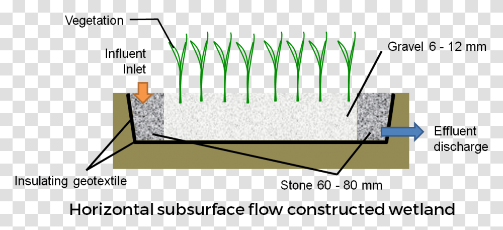 Horizontal Subsurface Flow Constructed Wetland Media, Plant, Electronics, Tree, Plot Transparent Png