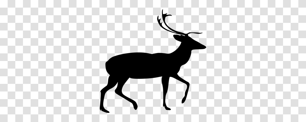 Horn Drawing Deer Download Antler, Gray, World Of Warcraft Transparent Png