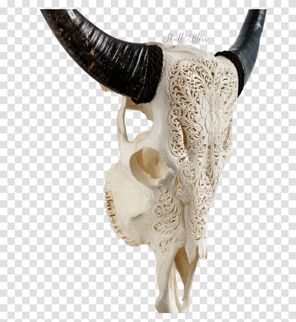 Horn, Person, Human, Animal, Hip Transparent Png