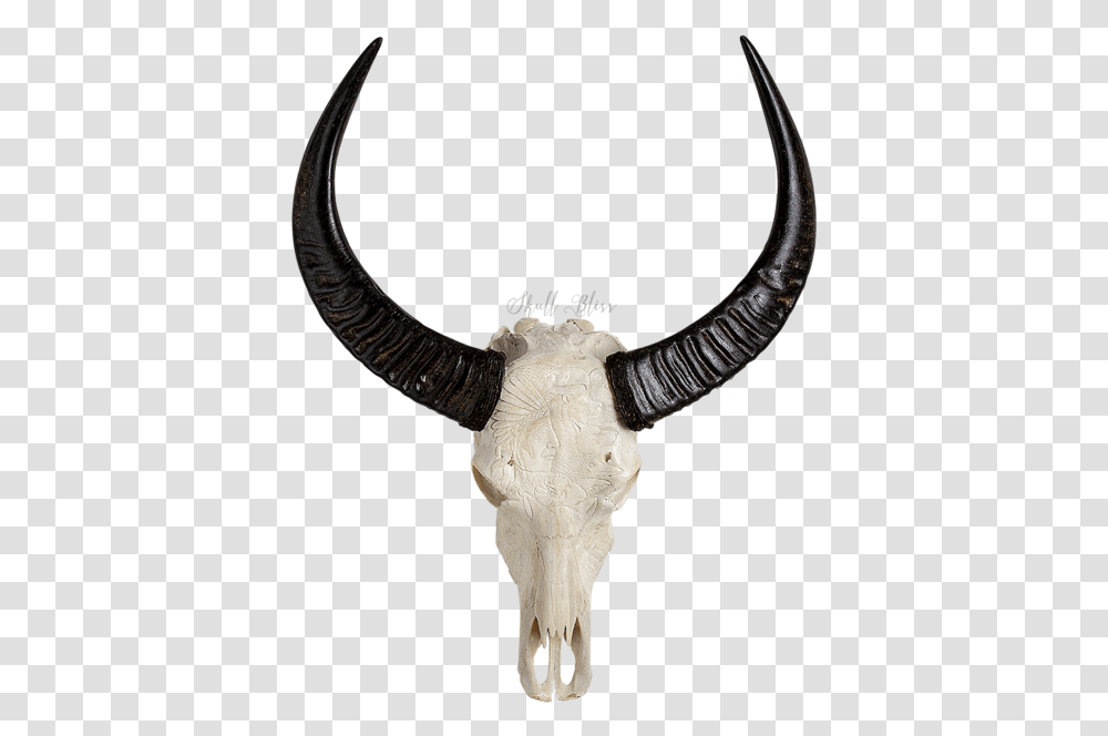 Hornantelopeanimal Figurecow Goat Animal Skull, Bull, Mammal, Longhorn, Cattle Transparent Png