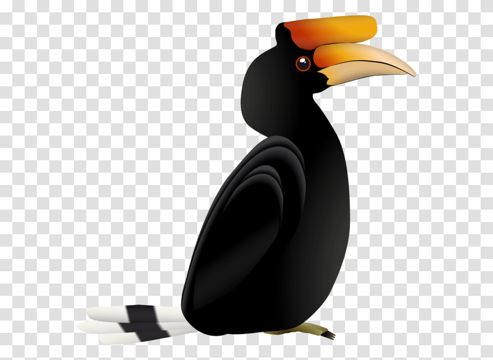 Hornbill, Bird, Animal, Beak, Penguin Transparent Png