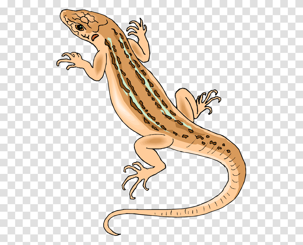 Horned Lizard File House Lizard Clipart, Gecko, Reptile, Animal, Anole Transparent Png