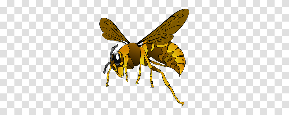 Hornet Animals, Wasp, Bee, Insect Transparent Png