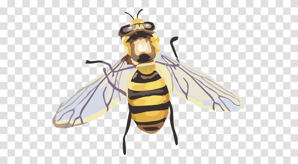 Hornet Abelha Imagem, Wasp, Bee, Insect, Invertebrate Transparent Png