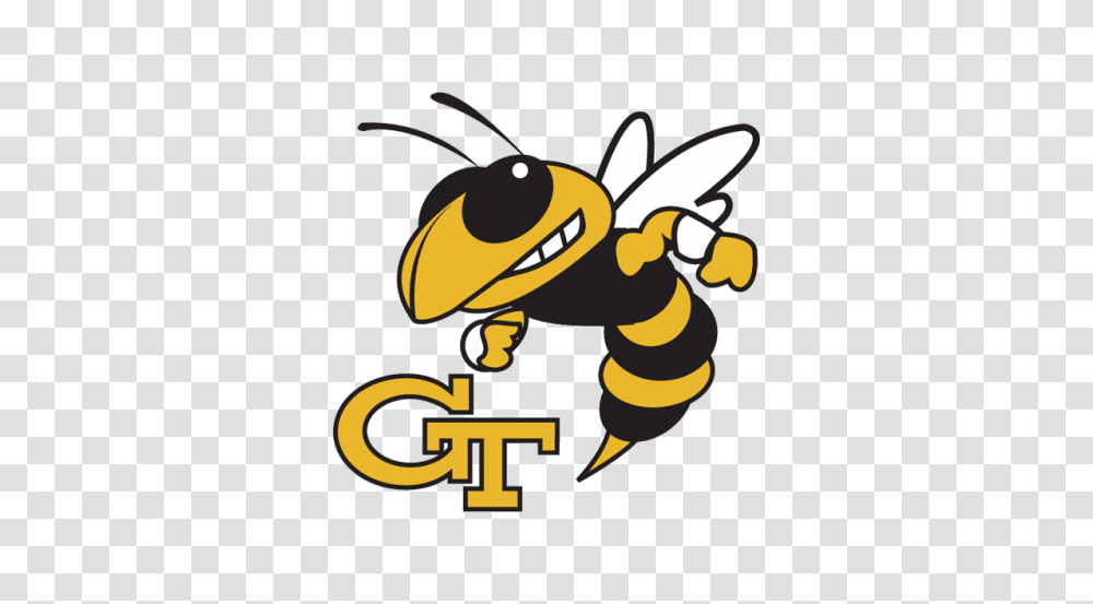 Hornet Clipart Georgia Tech, Insect, Invertebrate, Animal, Wasp Transparent Png