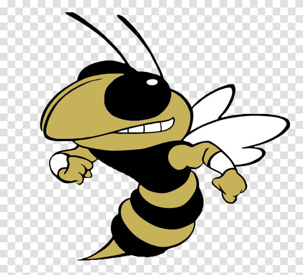 Hornet Clipart Greenville, Insect, Invertebrate, Animal, Wasp Transparent Png