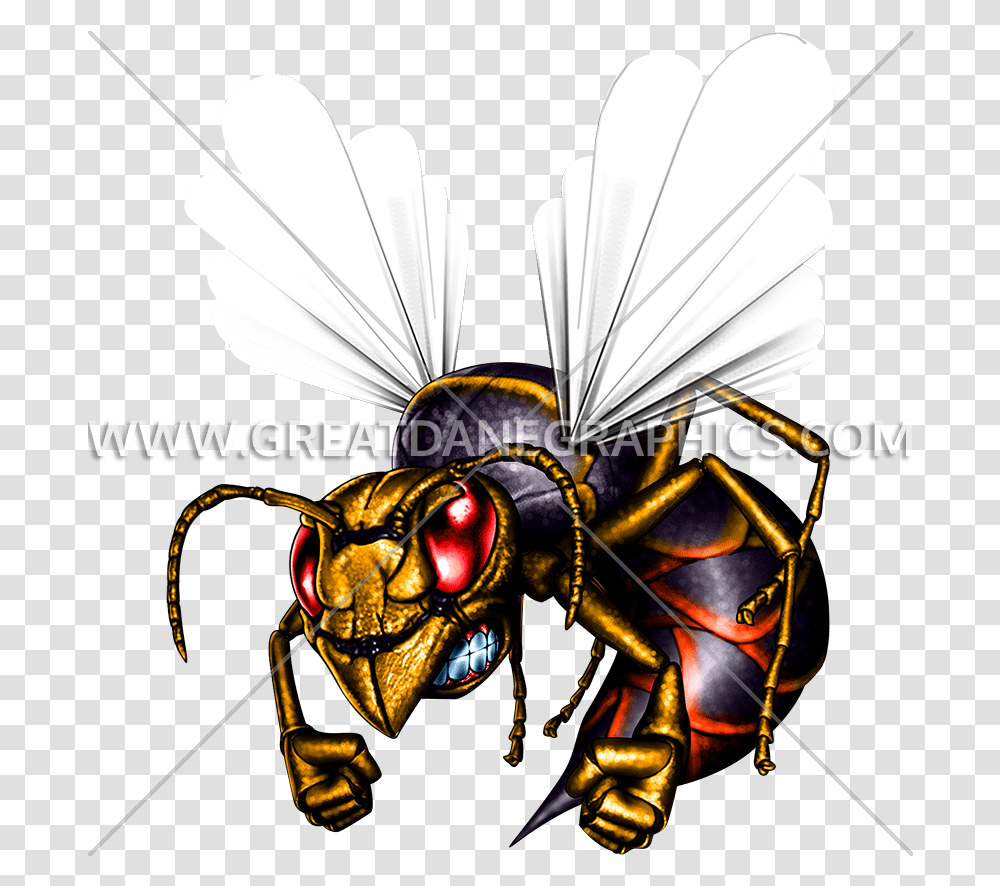 Hornet Clipart Killer Bee Hornets Art, Wasp, Insect, Invertebrate, Animal Transparent Png