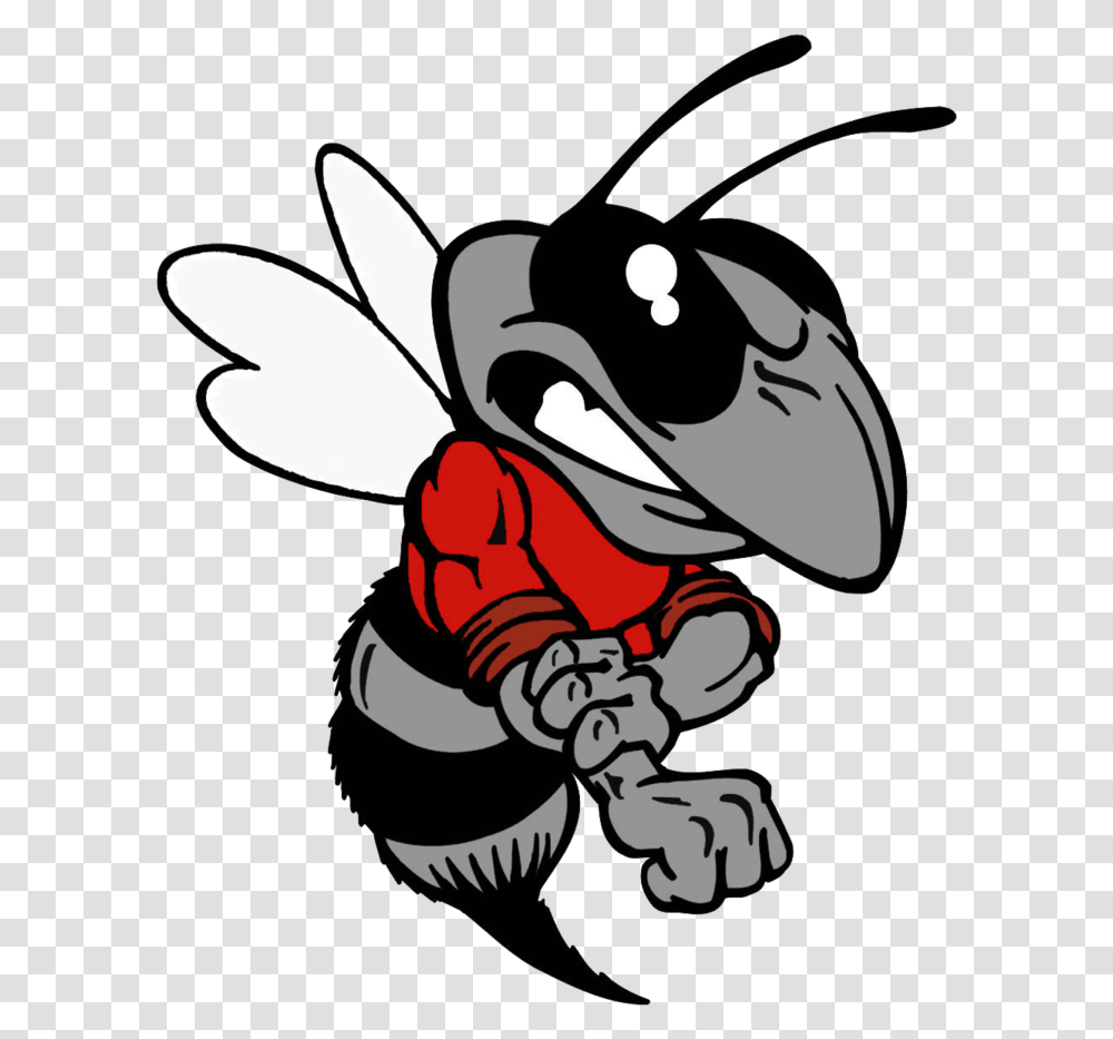 Hornet Mascot Clipart Hancock County High School Hornets, Insect, Invertebrate, Animal, Wasp Transparent Png