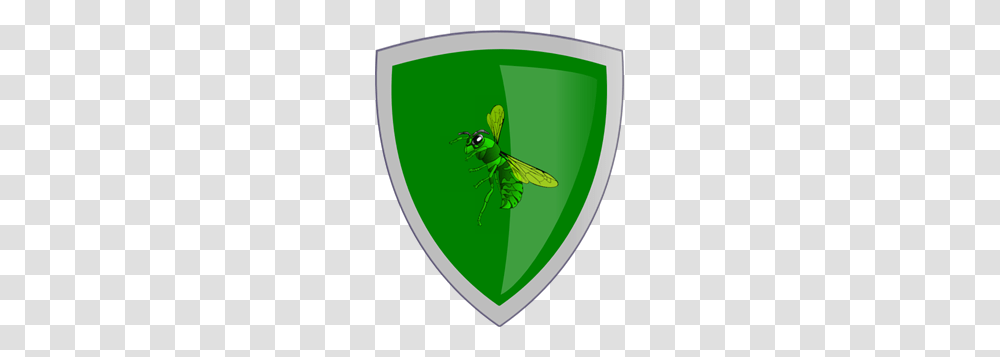 Hornet Sheild Clipart For Web, Shield, Armor, Insect, Invertebrate Transparent Png
