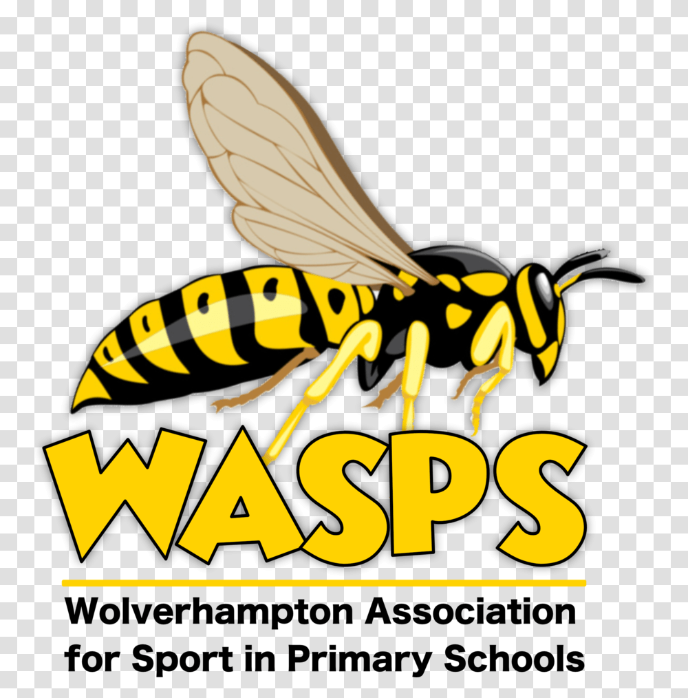 Hornet, Wasp, Bee, Insect, Invertebrate Transparent Png