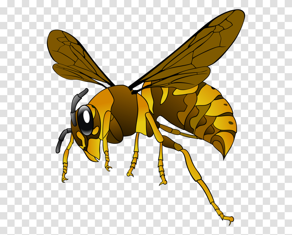 Hornet Wasp Insect Bee Brown Yellow Wings Green Hornet Clipart, Invertebrate, Animal, Andrena, Honey Bee Transparent Png