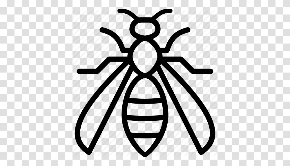 Hornet Wasp Yellow Jacket Icon, Invertebrate, Animal, Machine Transparent Png