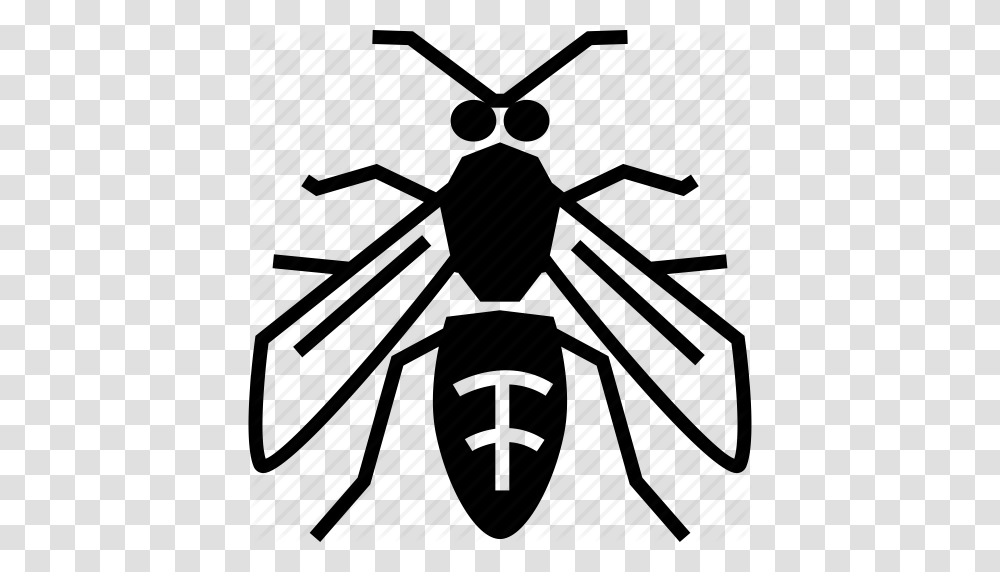 Hornet Wasps Icon, Ant, Insect, Invertebrate, Animal Transparent Png