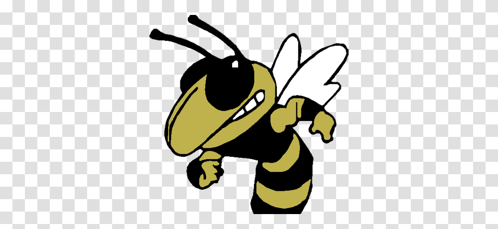 Hornets Athletics, Wasp, Bee, Insect, Invertebrate Transparent Png