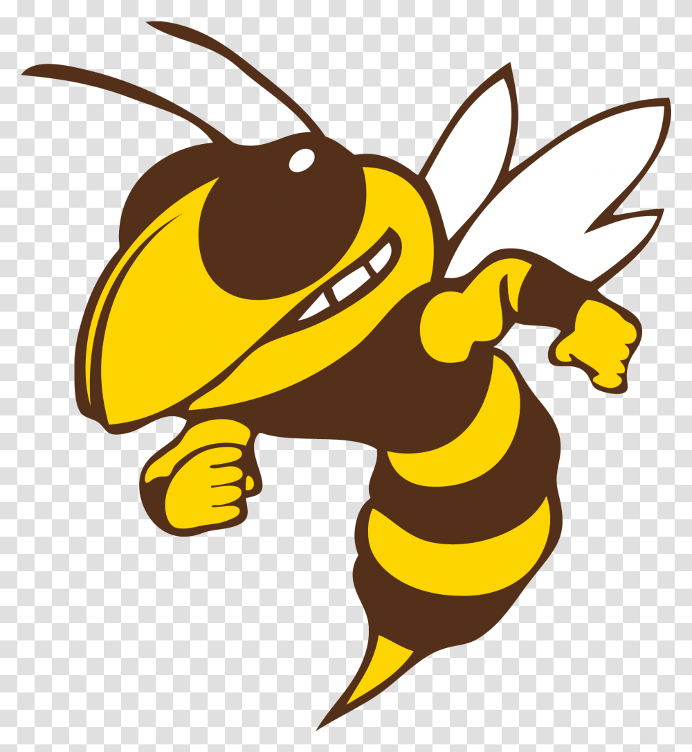 Hornets Logo Calhoun Yellow Jackets, Wasp, Bee, Insect, Invertebrate Transparent Png