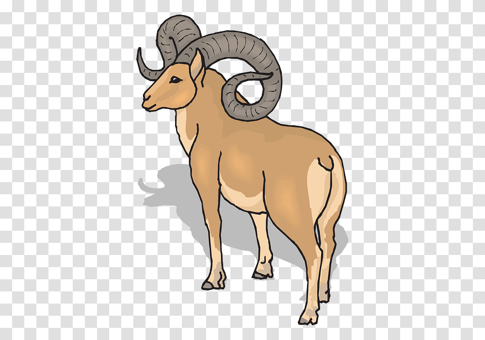 Horns Clipart Big Goat, Mammal, Animal, Wildlife, Mountain Goat Transparent Png